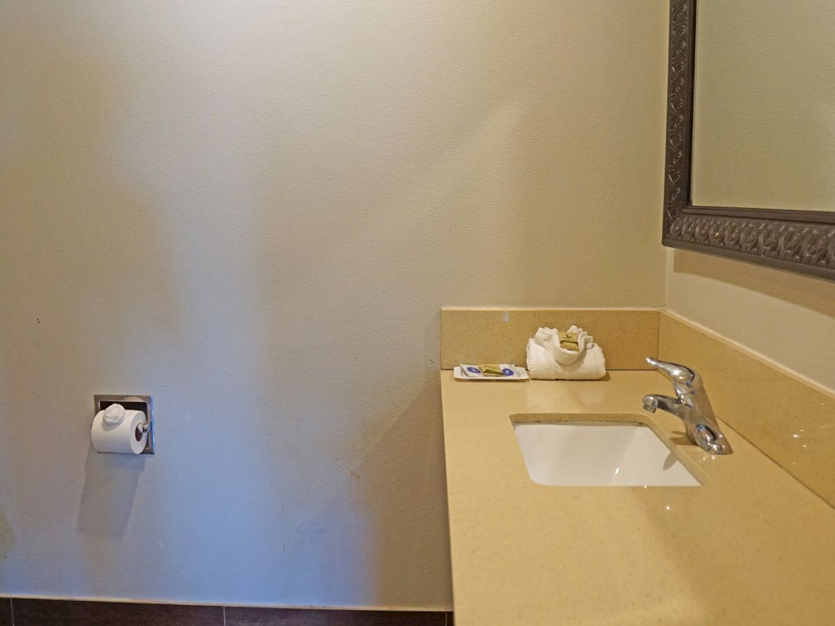 The image shows a bathroom with a wall-mounted toilet paper holder, vanity with sink, mirror, and toiletries on the countertop.