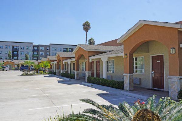 A single-story building with a parking lot and palm trees in front of it.