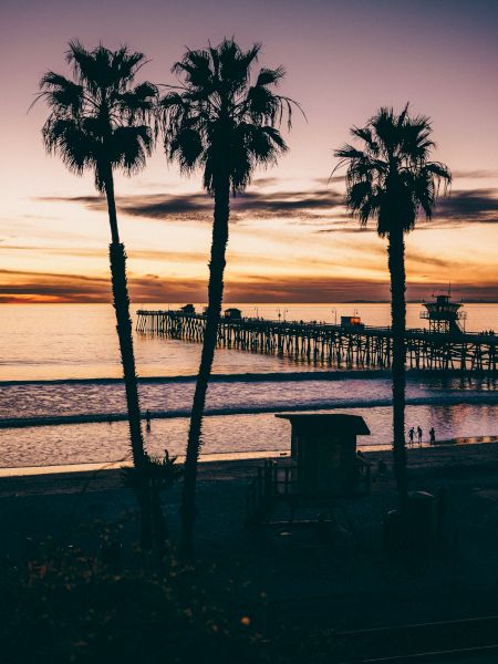 A coastal sunset scene with three palm trees in the foreground, a wooden pier extending into the ocean, and the sky lit with hues of orange and purple.